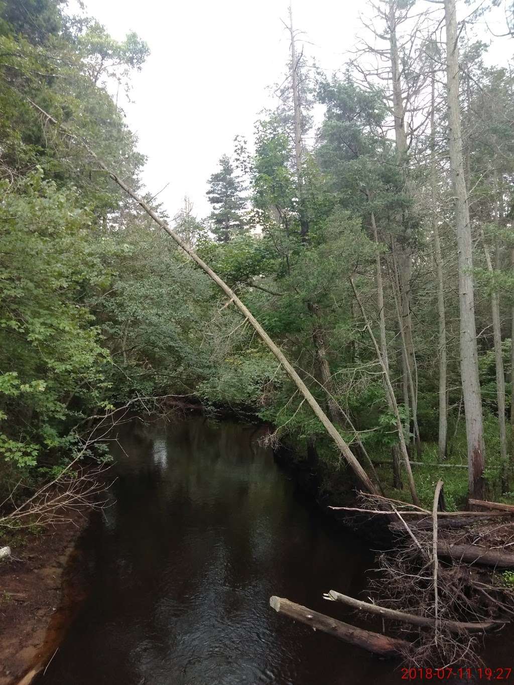 Toms Pond Trail | Batsto Lake Rd, Hammonton, NJ 08037, USA