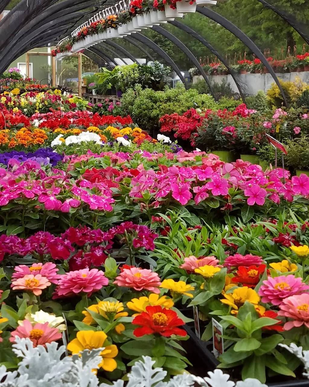 A&N Garden and Greenhouse | 2130 Reis Run Rd, Pittsburgh, PA 15237, USA | Phone: (412) 931-9230 ext. 2
