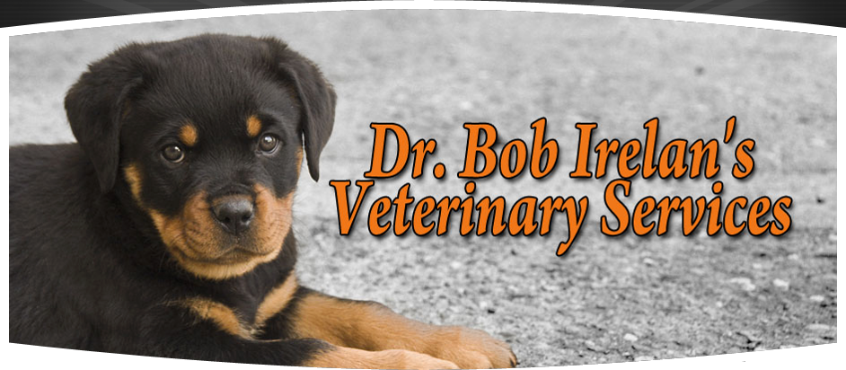 Bob Irelan Veterinary Services | 6804 N Socrum Loop Rd, Lakeland, FL 33809, USA | Phone: (863) 859-9485