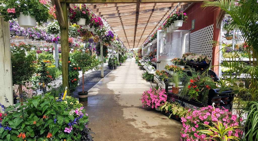 Hollandia Nurseries | 103 Old Hawleyville Rd, Bethel, CT 06801, USA | Phone: (203) 743-0267