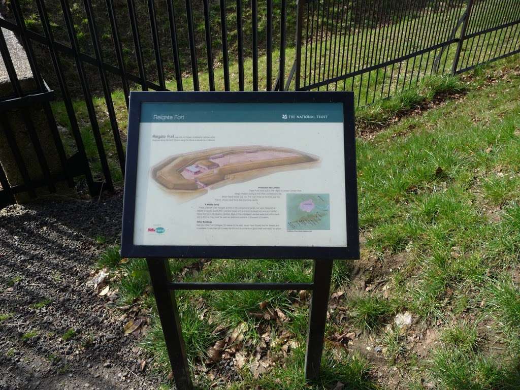 Hilltop Cattery - Holiday Homes For Cats | East Fort Cottage/Reigate Hill, Reigate RH2 9RN, UK | Phone: 01737 243007