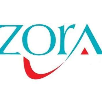 Zora Motor Sales&Service | 9426 W Bellfort Ave, Houston, TX 77031 | Phone: (713) 367-0425