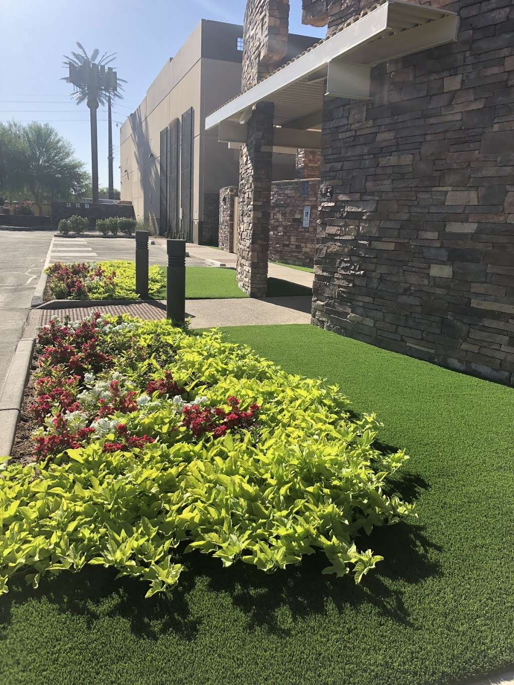 21st Century Grass | 3001 S 35th St c6, Phoenix, AZ 85034, USA | Phone: (480) 323-5033