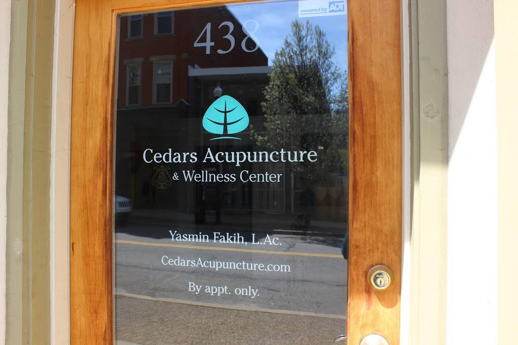 Cedars Acupuncture & Wellness Center | 438 S Main St Suite 100, Pittsburgh, PA 15220, USA | Phone: (412) 926-4757