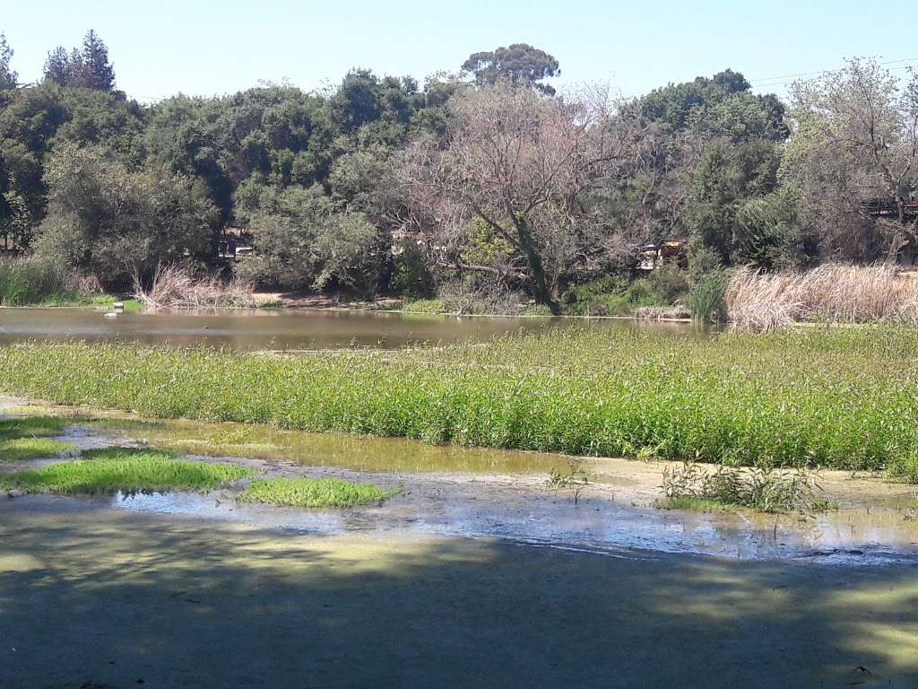 Don Castro Regional Recreation Area | 22400 Woodroe Ave, Hayward, CA 94541, USA | Phone: (510) 544-3073