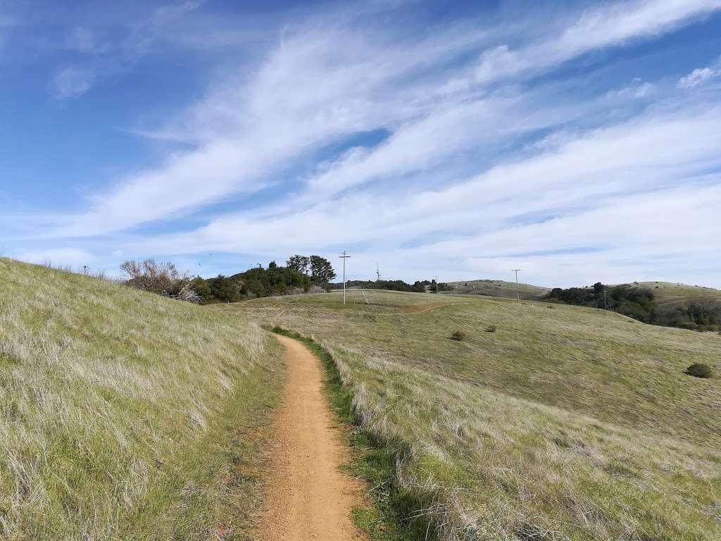 Monte Bello Open Space Preserve Parking Lot | 4301 Page Mill Rd, Los Altos, CA 94022, USA