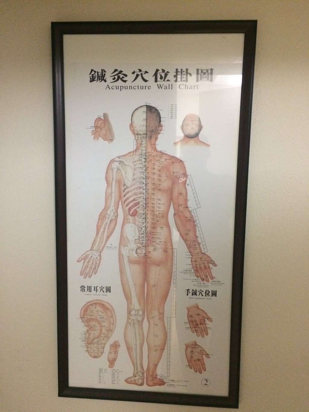 Fullerton Acupuncture & Herb | 670 E Commonwealth Ave # A, Fullerton, CA 92831, USA | Phone: (714) 870-7575