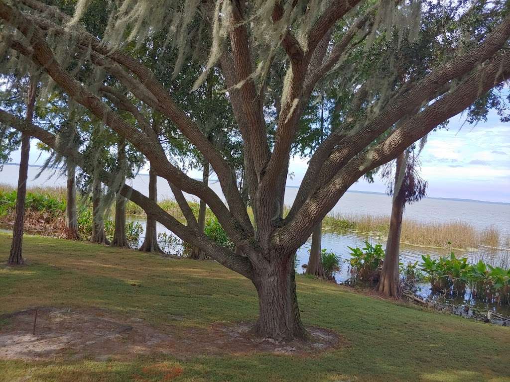 Florida Fish Guide/ Nature Tours | Magnolia Park Boat Ramp, Apopka, FL 32703 | Phone: (321) 363-6550