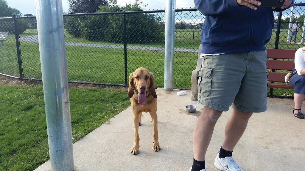 Lower Macungie Dog Park | Macungie, PA 18062, USA