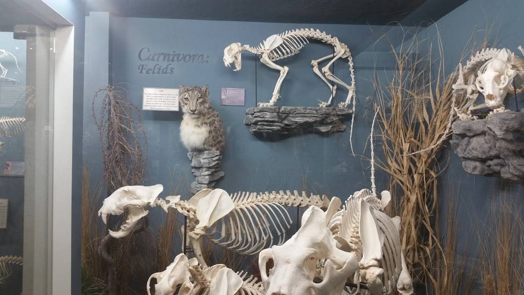 Museum of Osteology | 10301 S Sunnylane Rd, Oklahoma City, OK 73160, USA | Phone: (405) 814-0006