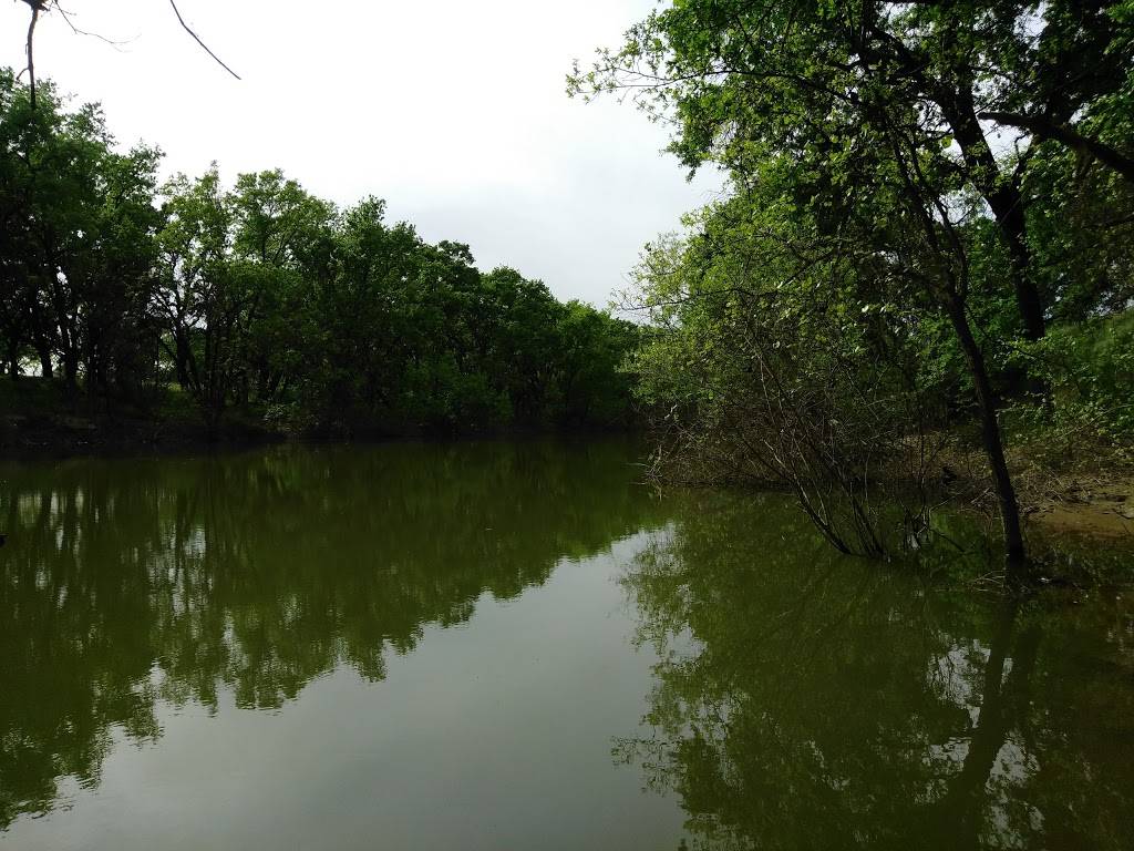 Putah Creek Riparian Reserve | Levee Rd & Brooks Rd, California 95616, Levee Rd, Davis, CA 95616 | Phone: (530) 752-0763