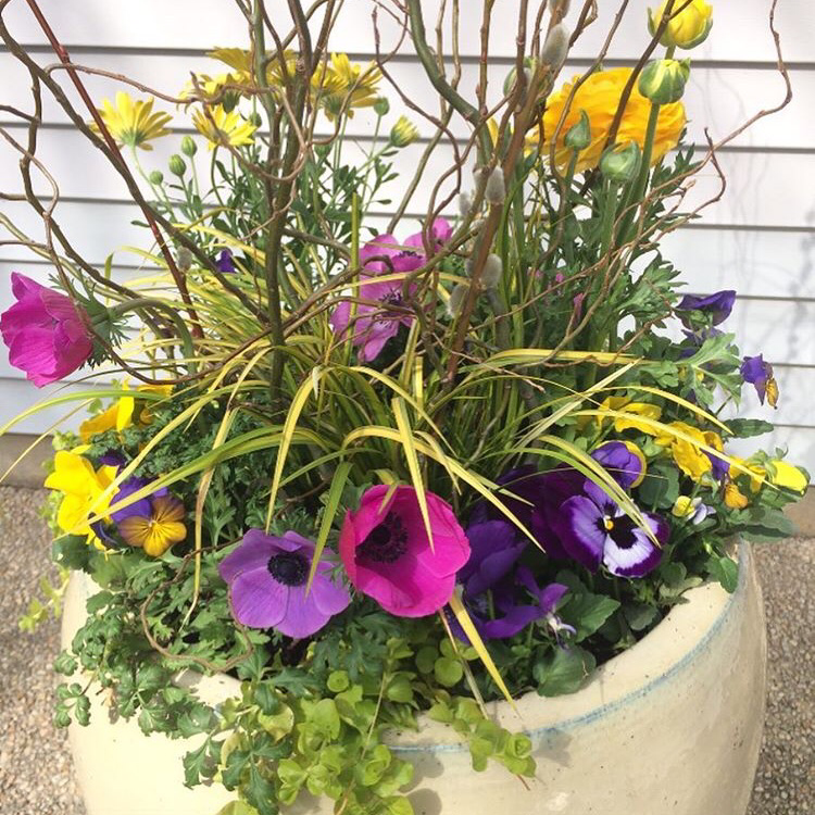 Perfect Pots Container Gardens & Greenhouse | 745 Strasburg Pike, Strasburg, PA 17579, USA | Phone: (717) 917-8733