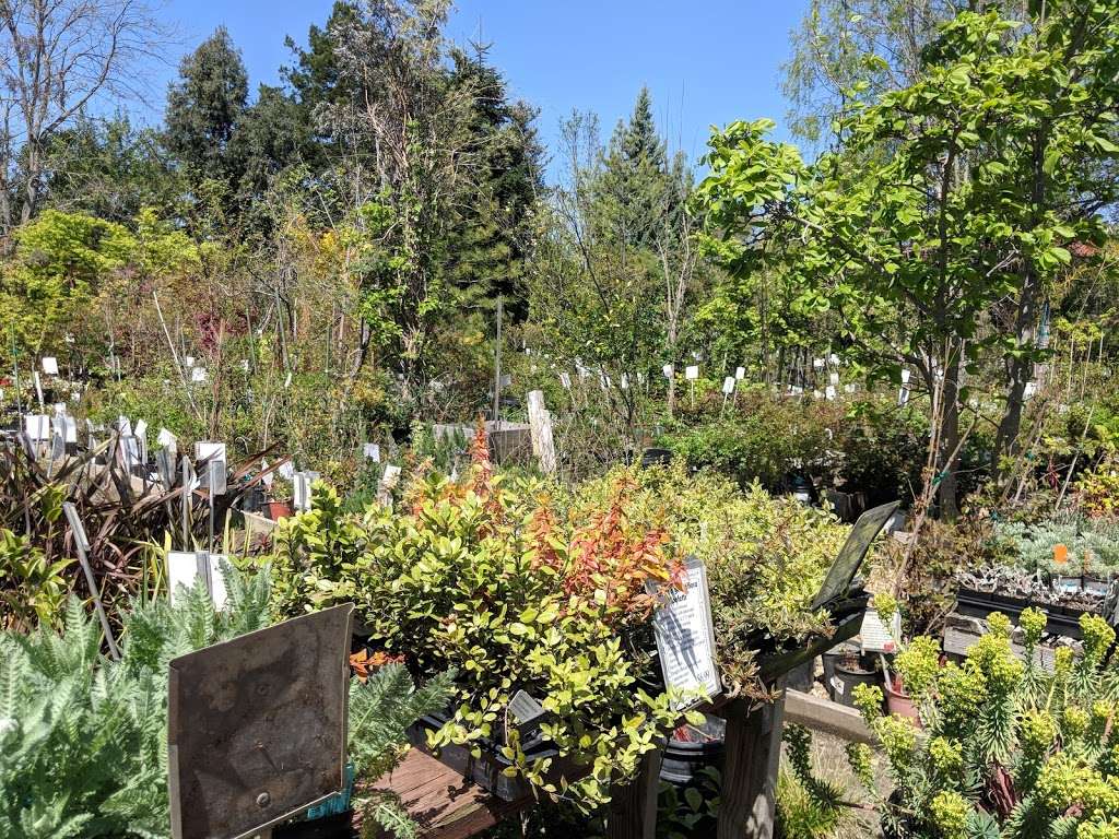 Moraga Garden Center | 1400 Moraga Rd, Moraga, CA 94556, USA | Phone: (925) 376-1810