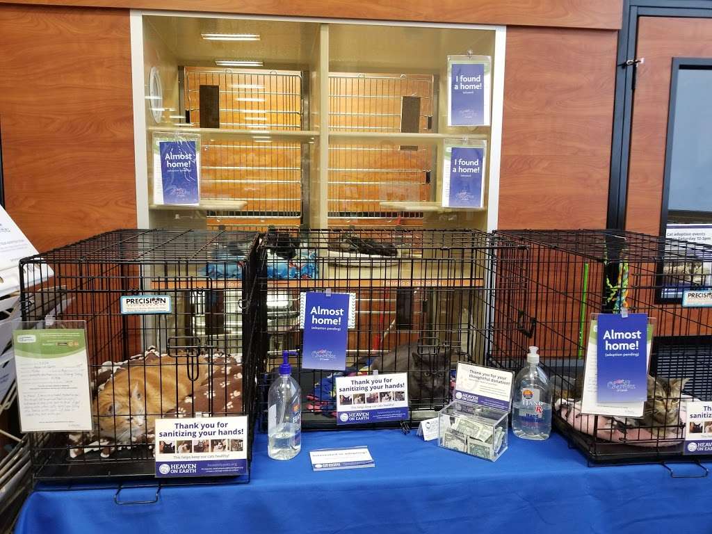 PetSmart | 7888 Van Nuys Blvd Suite 1, Van Nuys, CA 91402 | Phone: (818) 742-1758