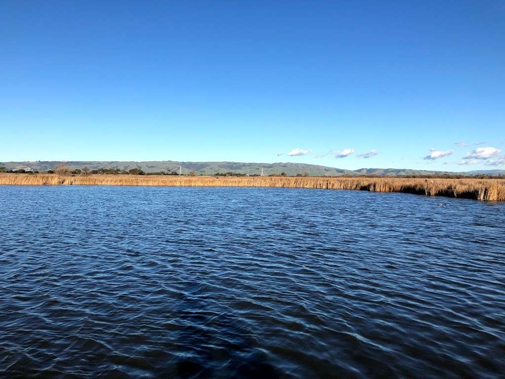 Coyote hill regional park parking lot | Fremont, CA 94555, USA