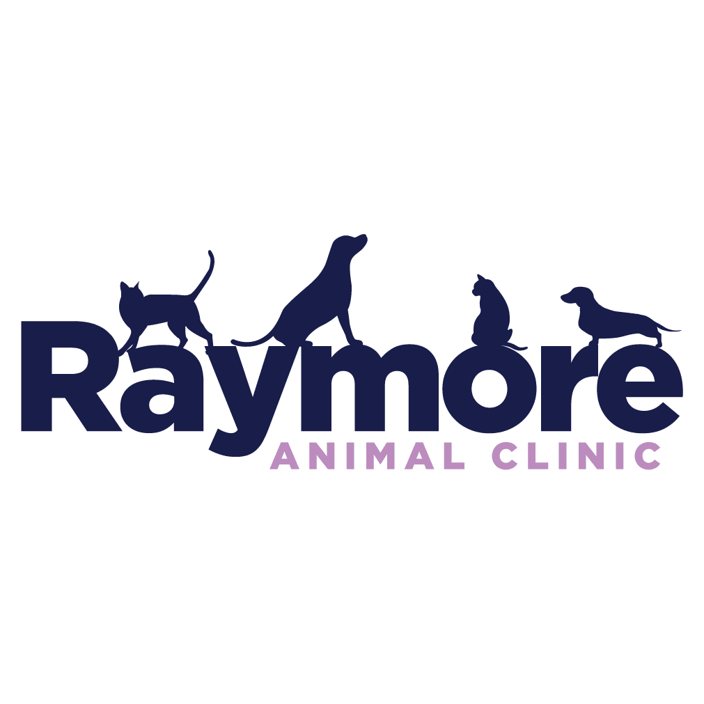 Raymore Animal Clinic | 406 W Pine St, Raymore, MO 64083, USA | Phone: (816) 331-4290