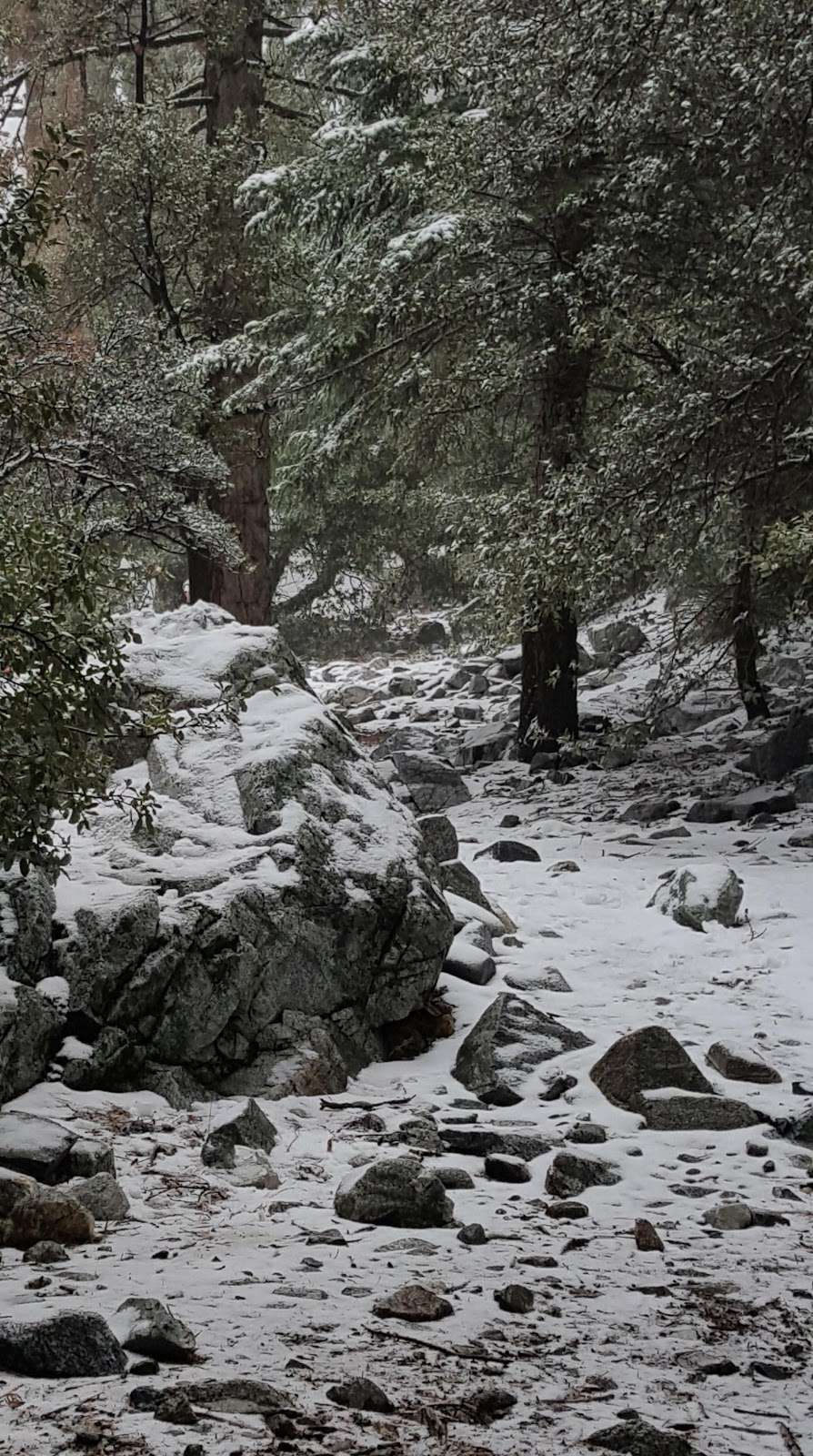 Harwood Lodge | Mt Baldy Rd, Mt Baldy, CA 91759, USA