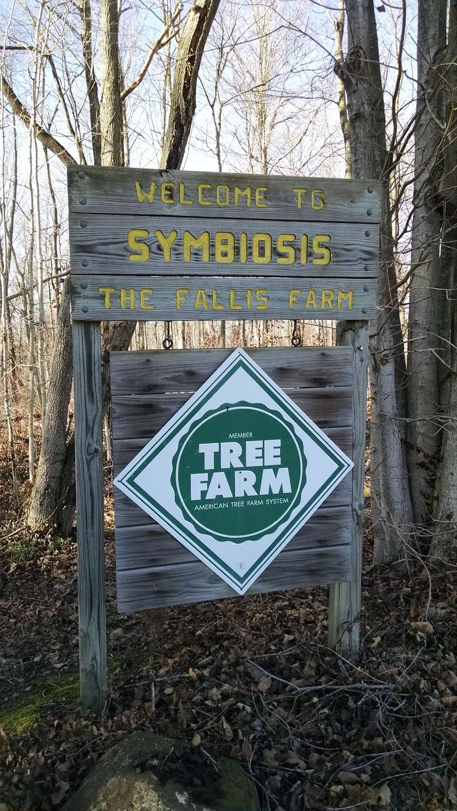 Symbiosis - Classified Forest | 1241 S 775 E, Waldron, IN 46182, USA | Phone: (317) 392-4814