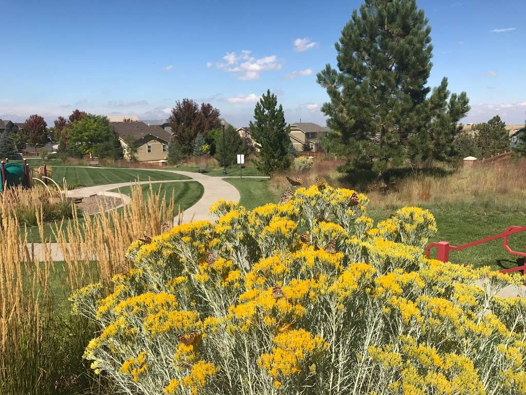 Tallgrass Park | 21332 E Lehigh Ave, Aurora, CO 80013, USA