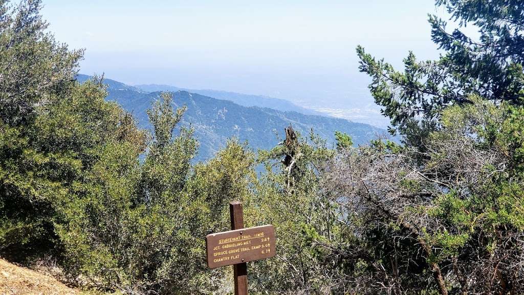 Sturtevant & Rim Trail | Angeles National Forest, Sturtevant Trail, Sierra Madre, CA 91024