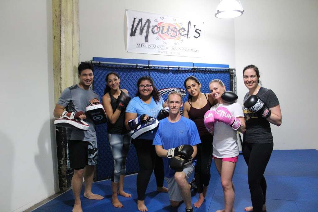 Mousels Self-Defense Academy | 1113 Vine St #140B, Houston, TX 77002, USA