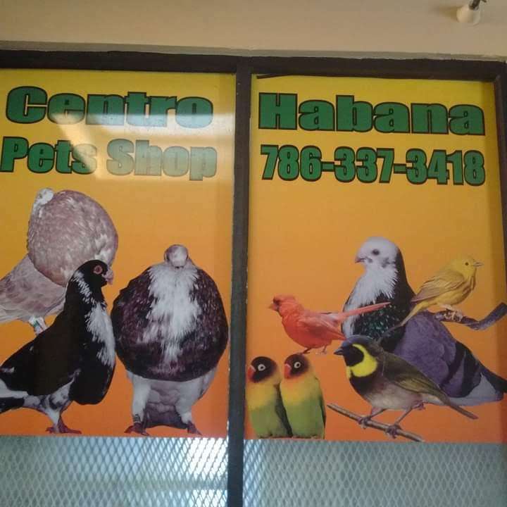 Centro habana pet shop | 4700 NW 7th St, Miami, FL 33126, USA | Phone: (786) 337-3418