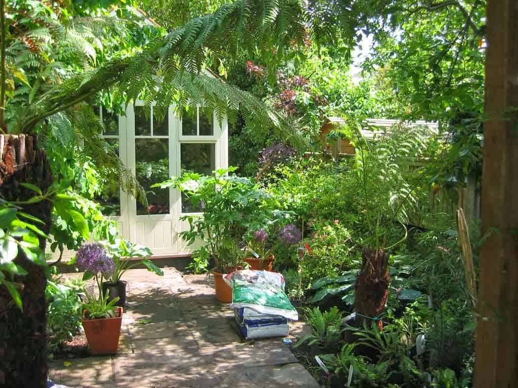 catherine clancy garden design london | 42 Langton Way, London SE3 7TJ, UK | Phone: 07879 661923