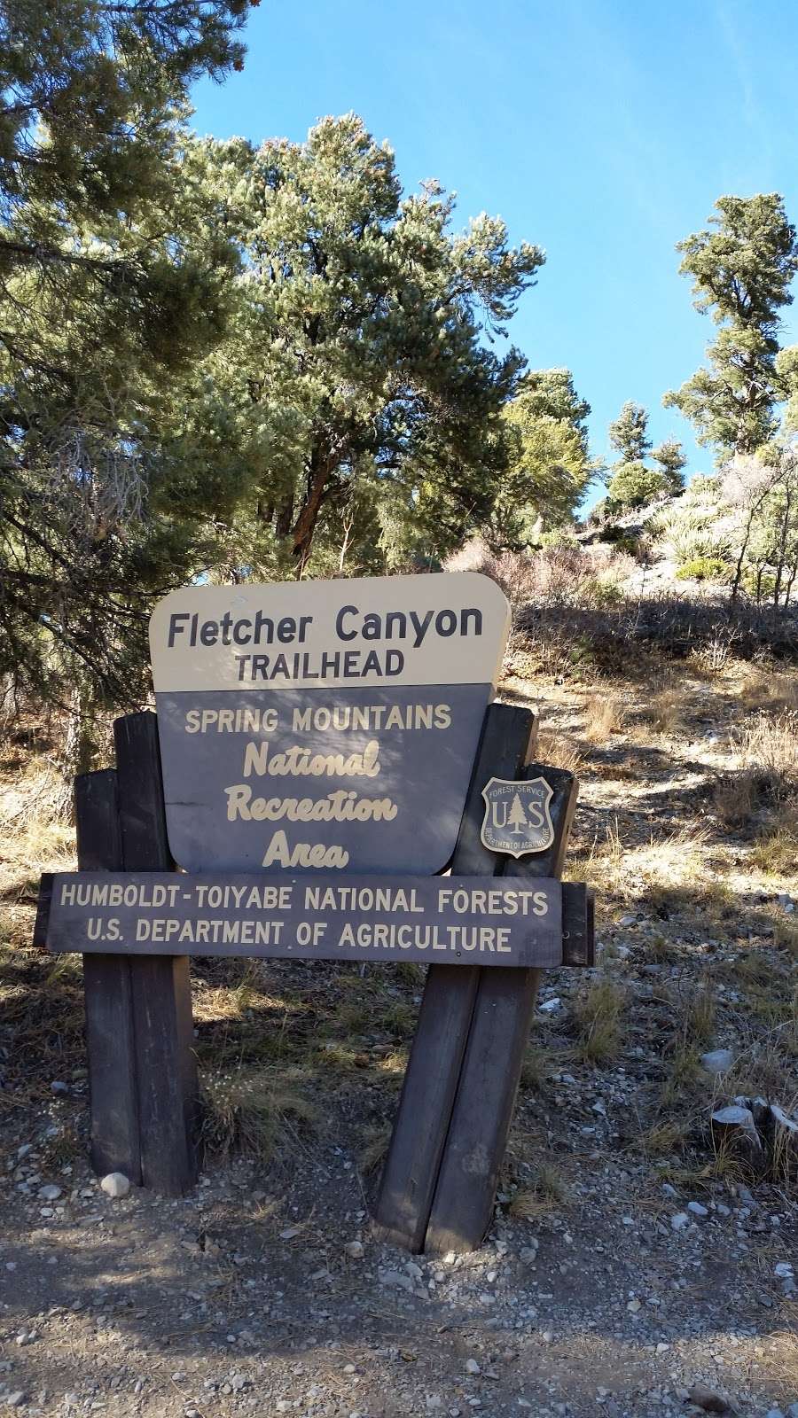 Fletcher Canyon Trailhead | Mt Charleston, NV 89124, USA | Phone: (702) 872-5486