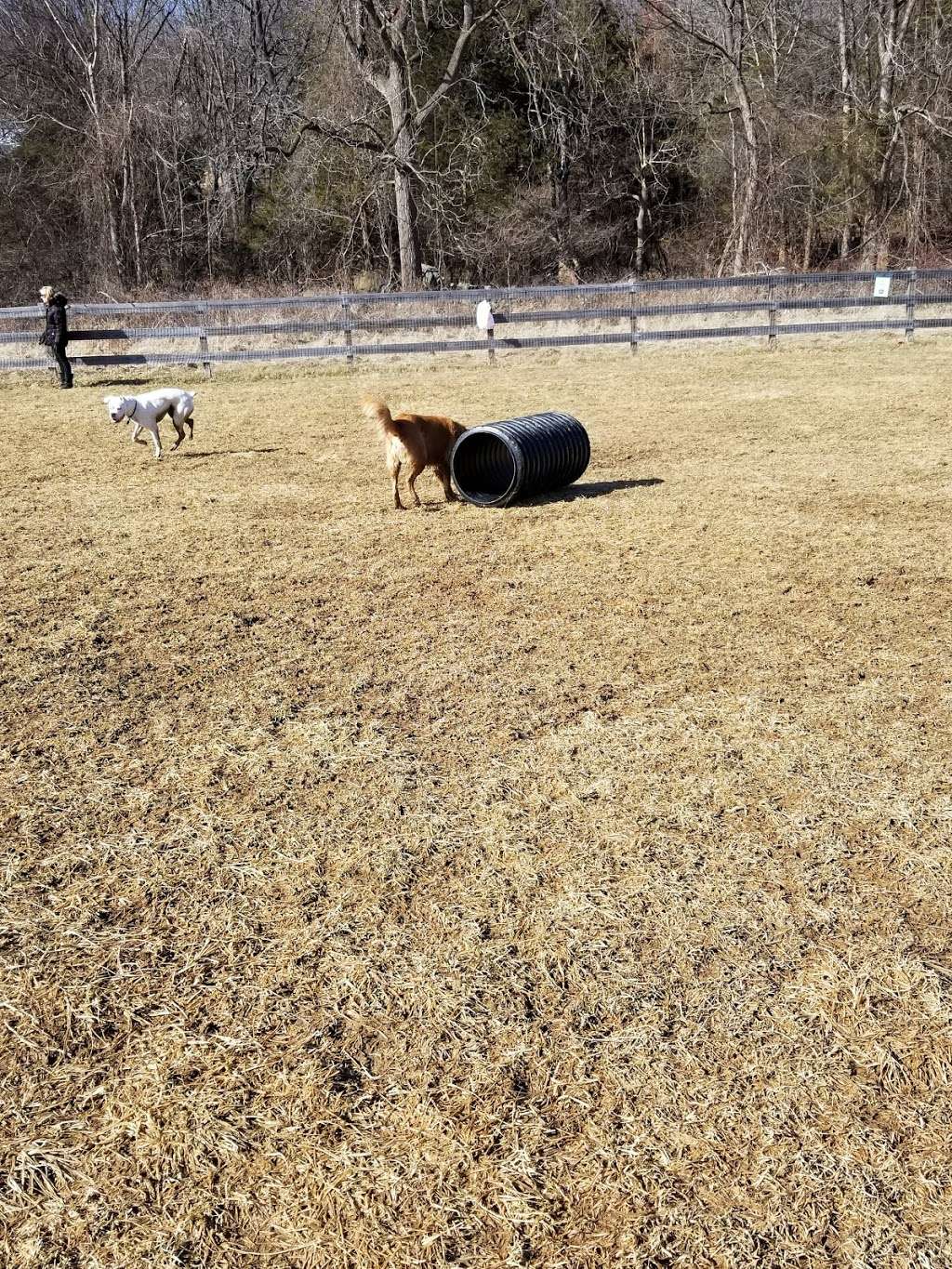 Vernon Dog Park | County Rd 517, Vernon Township, NJ 07462, USA | Phone: (201) 230-3973