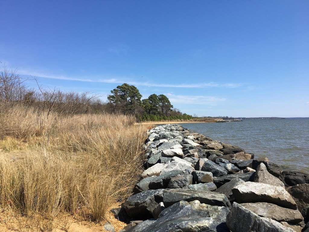 Newtowne Neck State Park | Newtowne Neck Rd, Leonardtown, MD 20650, USA | Phone: (301) 872-5688