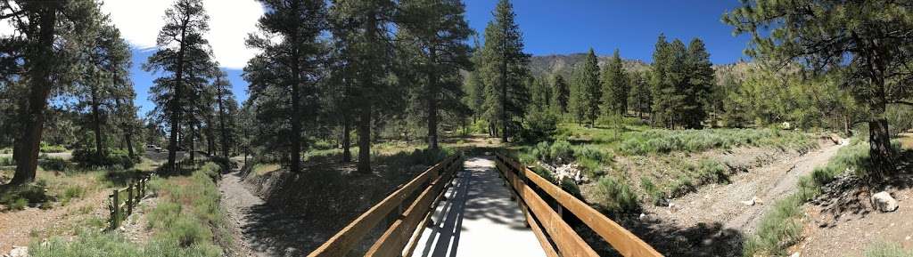 Acastus Trail | Acastus Trail, Mt Charleston, NV 89124