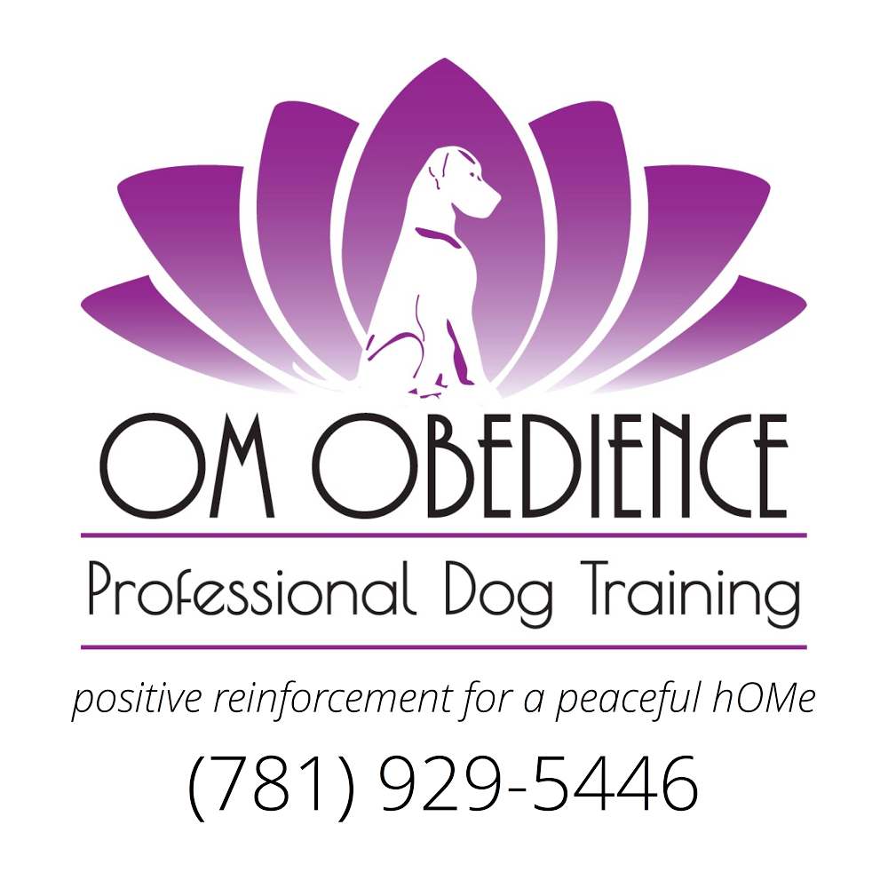 Om Obedience, Professional Dog Training | 60 Forest St, West Bridgewater, MA 02379, USA | Phone: (781) 929-5446