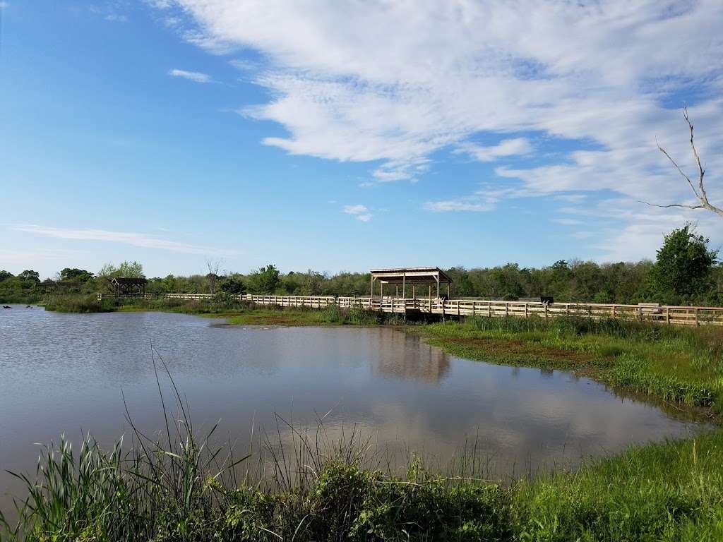 Wetlands Exhibit - Sea center | 980-1000 Medical Dr, Lake Jackson, TX 77566, USA