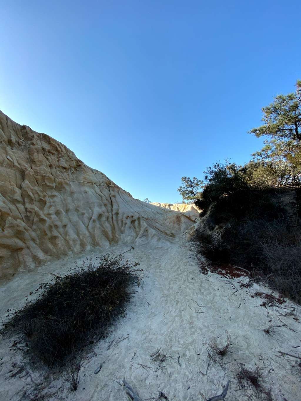 Guy Fleming Trail Trailhead | Guy Fleming Trail, La Jolla, CA 92037, USA Guy Fleming Trail Trailhead | Guy Fleming Trail, La Jolla, CA 92037, USA