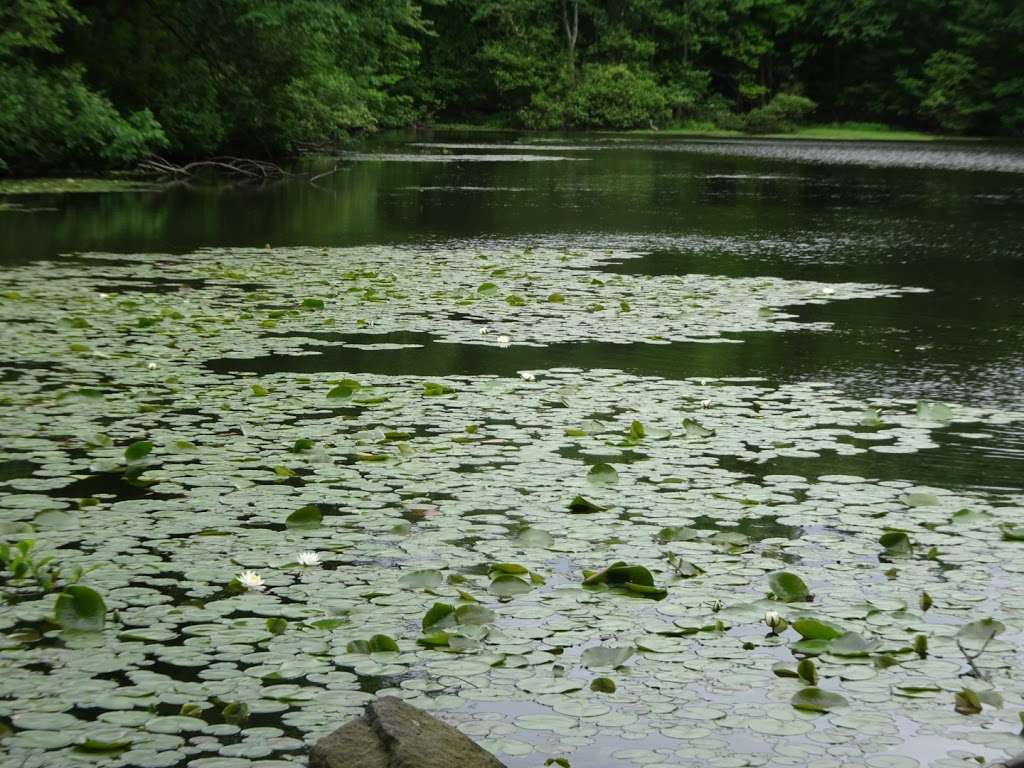 Greenbrook Nature Sanctuary | Green Brook Rd, Tenafly, NJ 07670 | Phone: (201) 784-0484