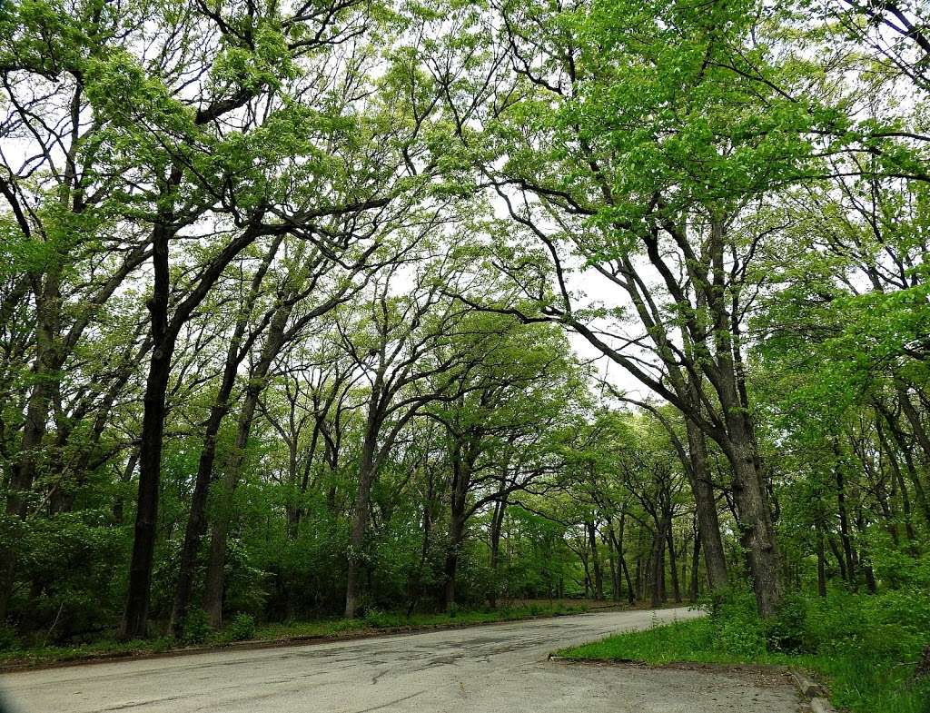 Maple Lake East - Mountain Bike Staging Area | 9500 Willow Springs Rd, Willow Springs, IL 60480, USA | Phone: (800) 870-3666