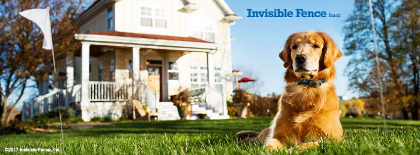 Invisible Fence of the Jersey Shore | 501 Delaware Ave, Egg Harbor Township, NJ 08234 | Phone: (609) 927-3353