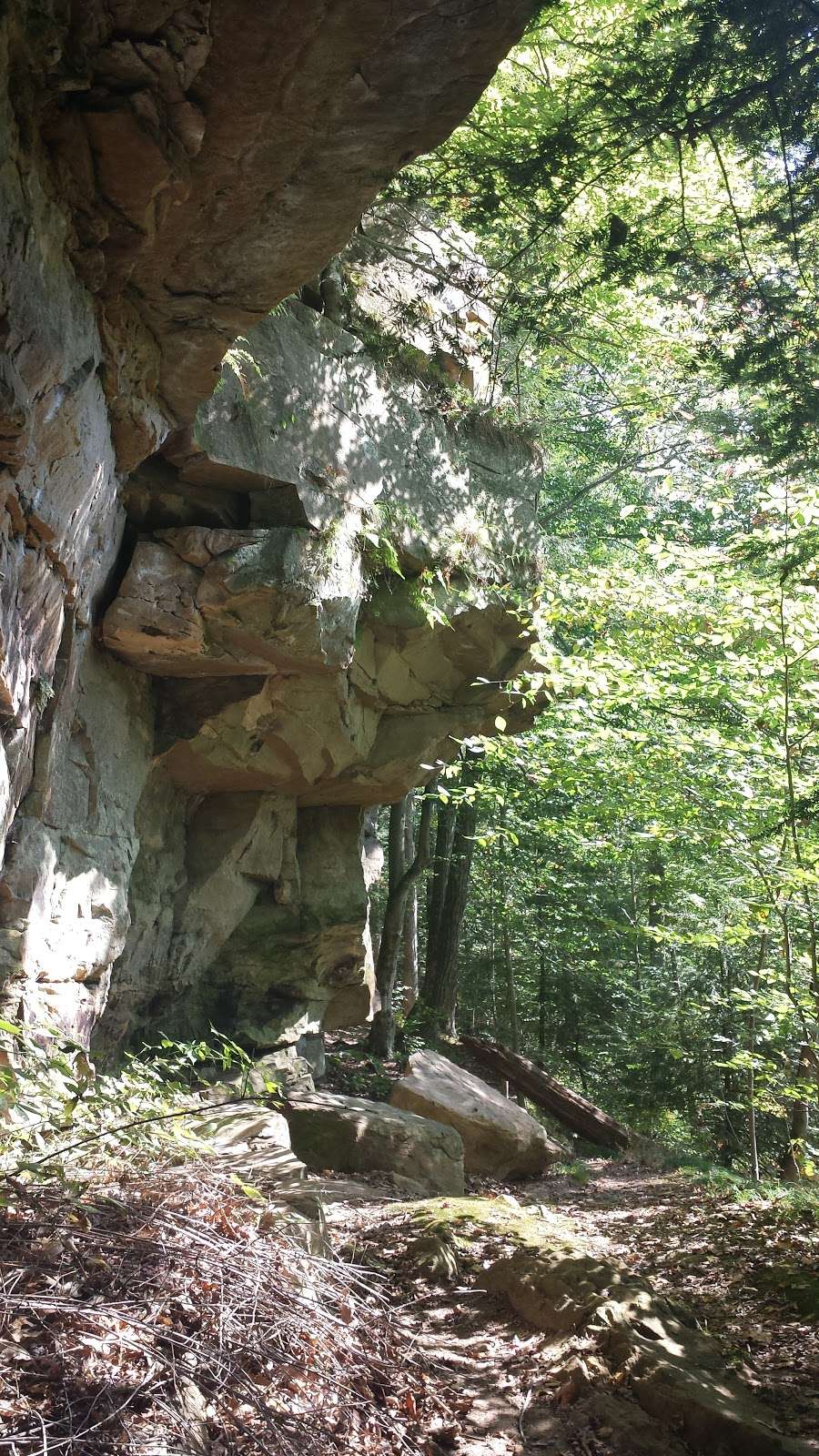 Greens Bluff Trail Head | County Rd 75 E, Spencer, IN 47460, USA | Phone: (317) 951-8818
