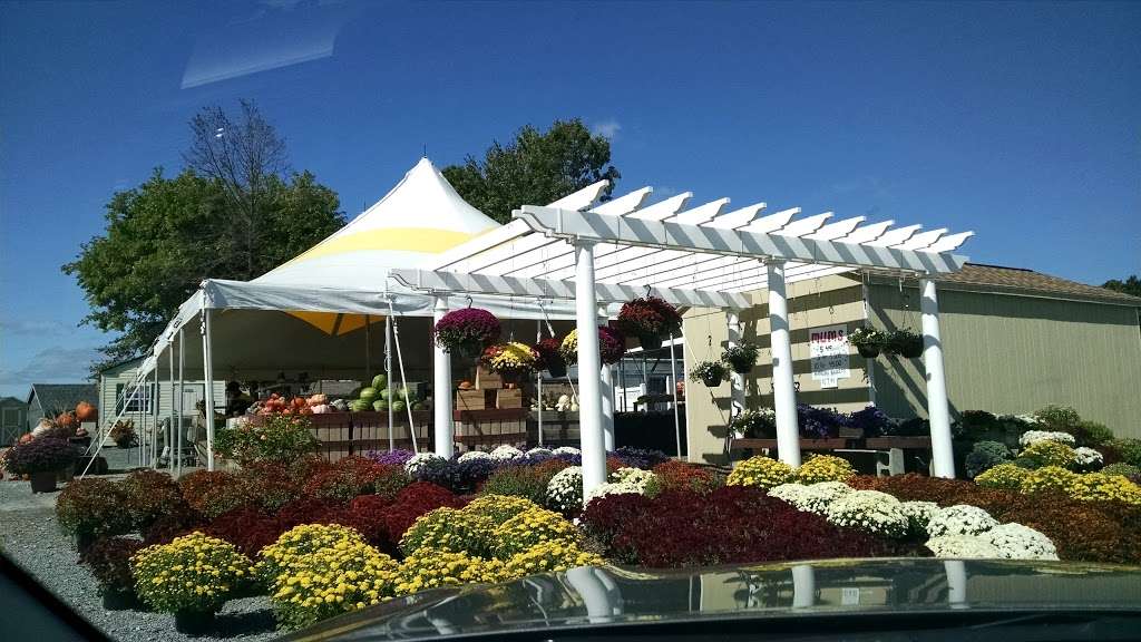 Goods Farmers Market | 1137 W Pulaski Hwy, Elkton, MD 21921, USA | Phone: (410) 392-9142