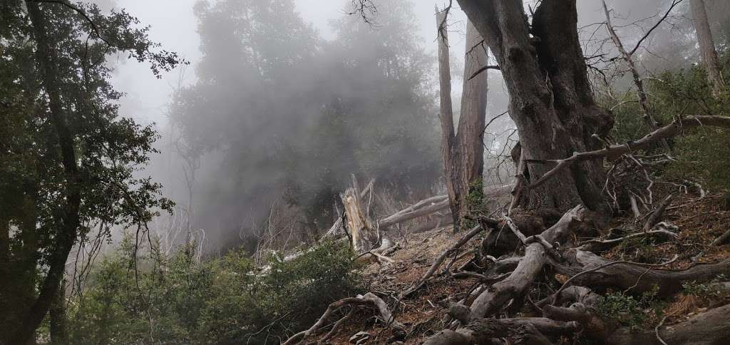 Yerba Santa Ampitheater | Azusa, CA 91702, USA