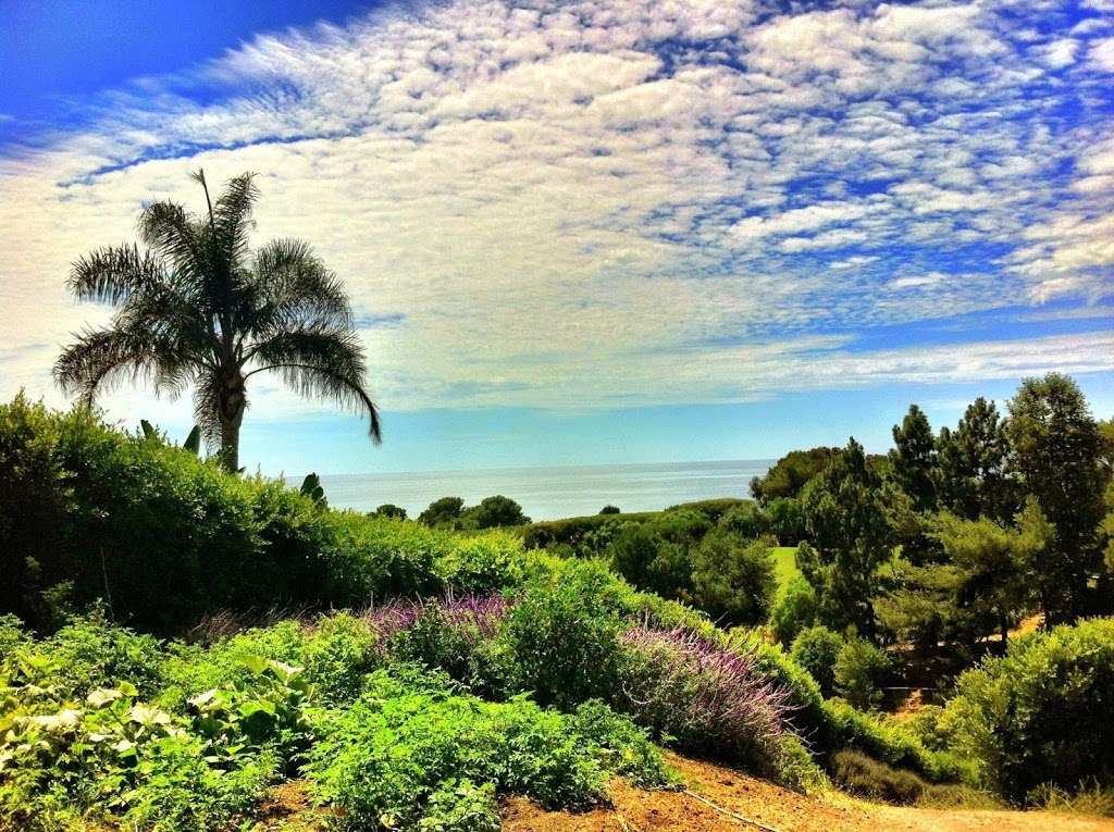 Coral Tree Ranch Sober Living | 5823 Filaree Heights Rd, Malibu, CA 90265, USA