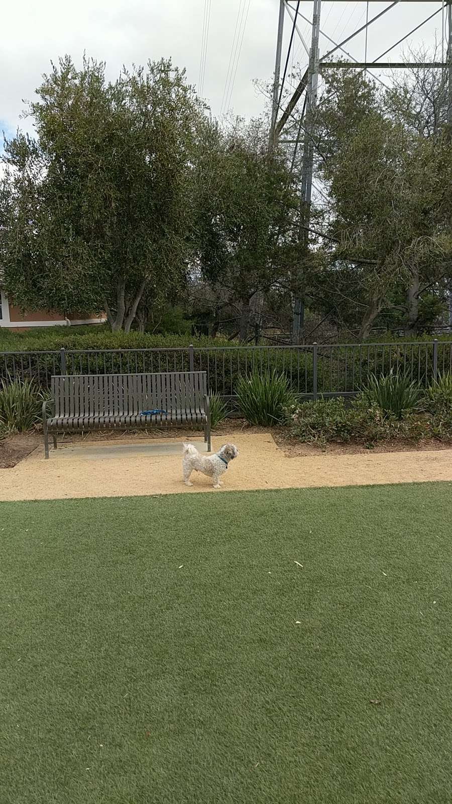 Fenced Dog Offleash Area | 656 Sea Anchor Dr, Redwood City, CA 94063, USA