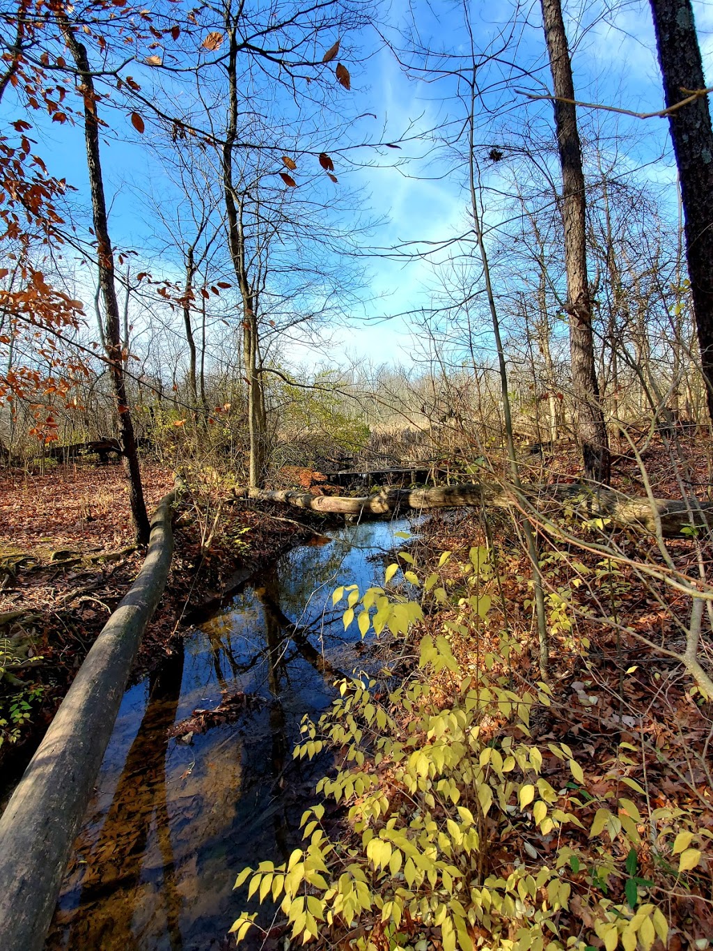 Boyer Nature Preserve | 452 E Park St, Westerville, OH 43081, USA | Phone: (614) 901-6500