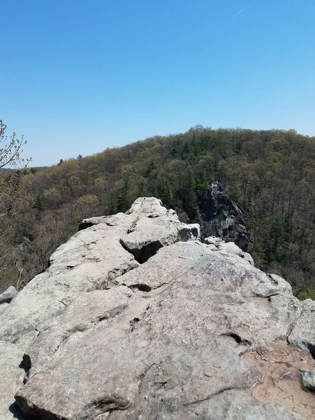 Rocks State Park - Rock Ridge Picnic Area | Jarrettsville, MD 21084, USA