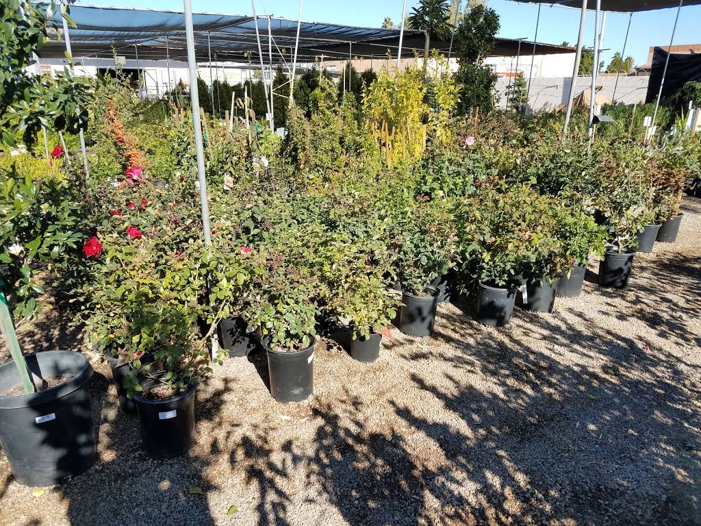 A & P Nursery | 2645 W Baseline Rd, Mesa, AZ 85202, USA | Phone: (480) 839-5362