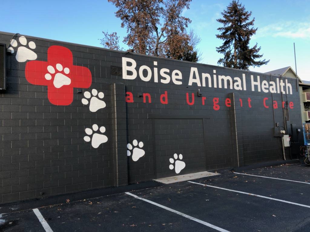 Boise Animal Health and Urgent Care | 1050 W Beacon St, Boise, ID 83706, USA | Phone: (208) 901-8360