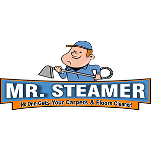 Mr. Steamer Carpet & Floor Cleaner | 8442 Boxwood Dr, Tampa, FL 33615, USA | Phone: (813) 898-9562