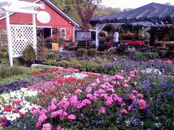 Bay Ridge Nursery | 1120 Bay Ridge Rd, Annapolis, MD 21403, USA | Phone: (410) 267-0669