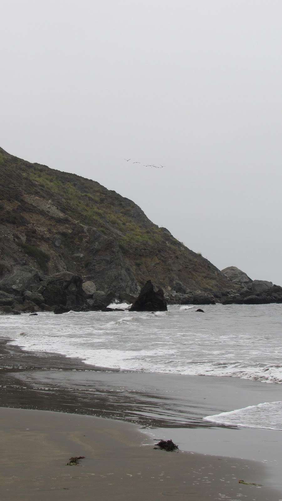 Muir Beach Parking Lot | Unnamed Road, Muir Beach, CA 94965