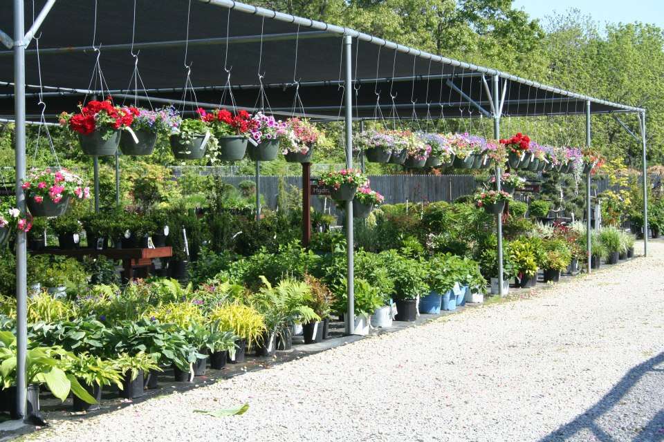 The Garden Center at Sepers Nursery | 1114 W. Weymouth Rd, Newfield, NJ 08344, USA | Phone: (856) 696-4220